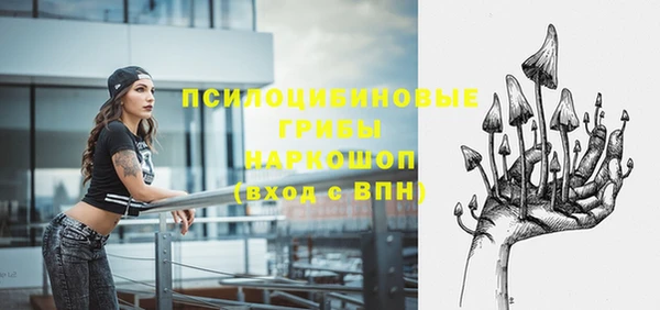дмт Фёдоровский