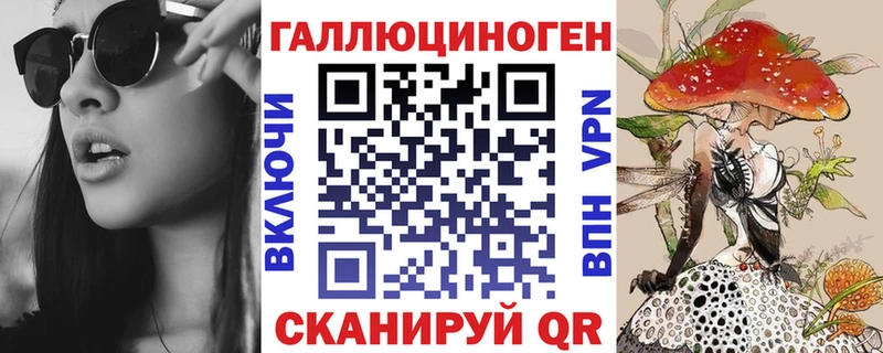KRAKEN зеркало  Долгопрудный  Псилоцибиновые грибы Magic Shrooms 