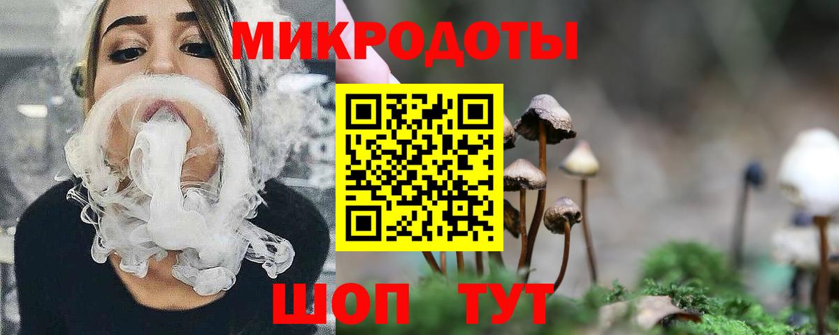 Галлюциногенные грибы GOLDEN TEACHER Долгопрудный