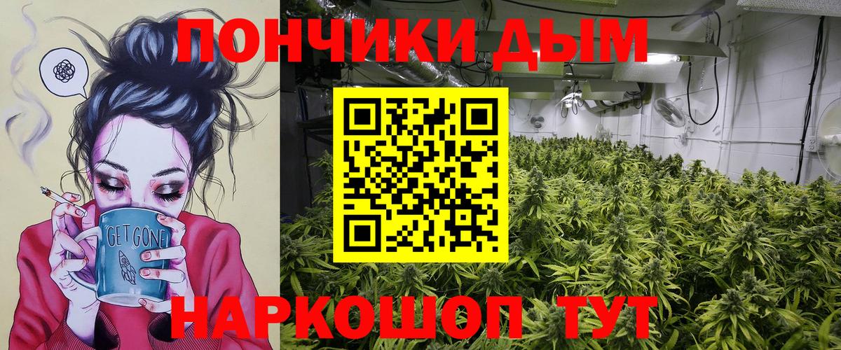 Бошки Шишки марихуана Долгопрудный